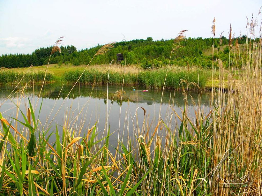 2014 Zachrany raket Jana Míckova